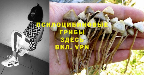 MDMA Алзамай